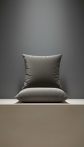 Shadow Grey Velvet Cushion